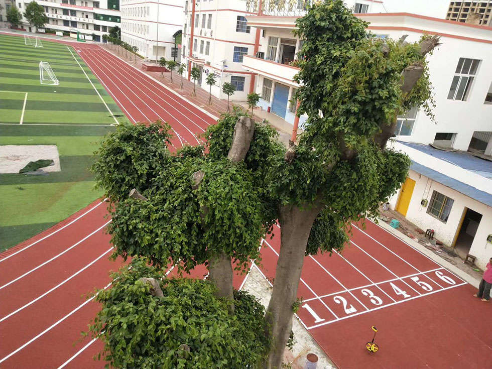 株洲学校操场塑胶跑道 学校塑胶跑道铺设起鼓基础脱层现象如何解决